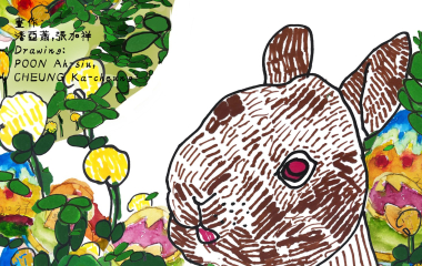 433444079_825566949585631_4667606229773547291_n