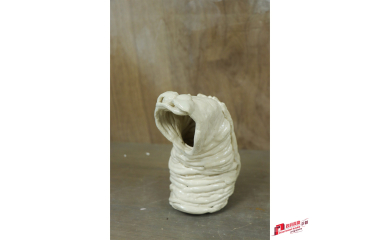 577804864_1277182607757394_3851268753598676983_n