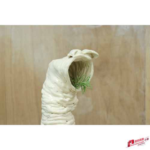 577409794_1277182544424067_4629350026891844952_n