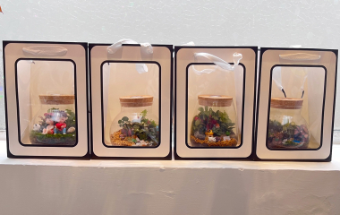 466594720_989352309873760_3379851077220466401_n