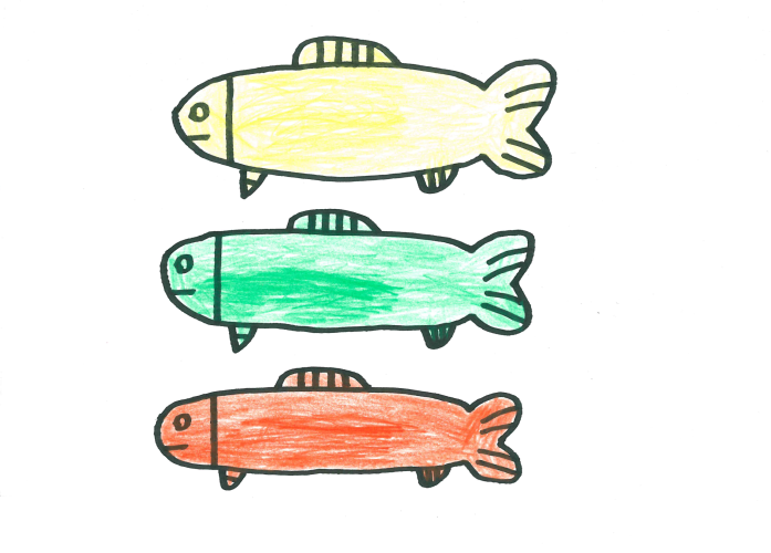 Fish