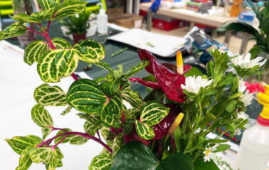 445165245_876510304491295_2473332724140230025_n